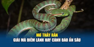 Mơ Thấy Rắn - Giải Mã Điềm Lành Hay Cảnh Báo Ẩn Sâu